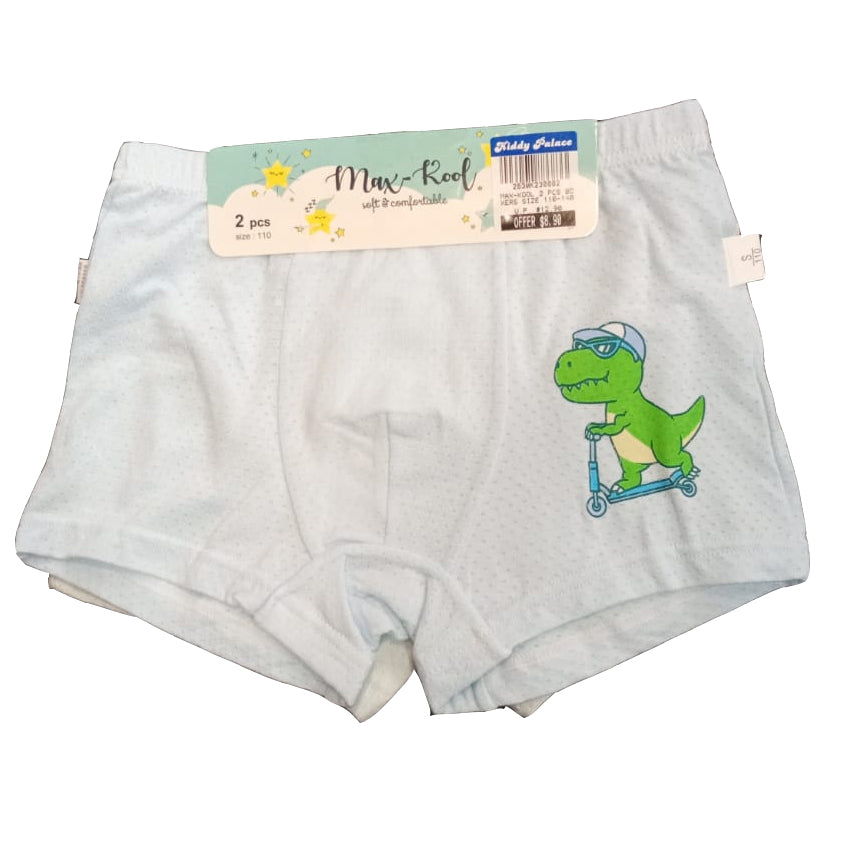 Boy's Bamboo Fiber Boxer 2 pcs Assorted Col Set