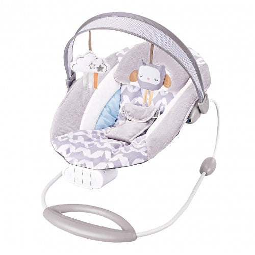 Infant To Toddler Portable Deluxe Bouncer