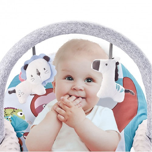 Infant to Toddler Rocker (Vibration/Music)