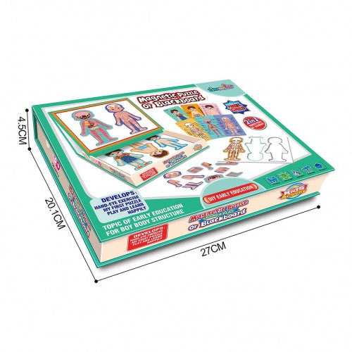 Montessori Educative Human Body Anatomy Magnetic Puzzle With Drawing Board - Boy