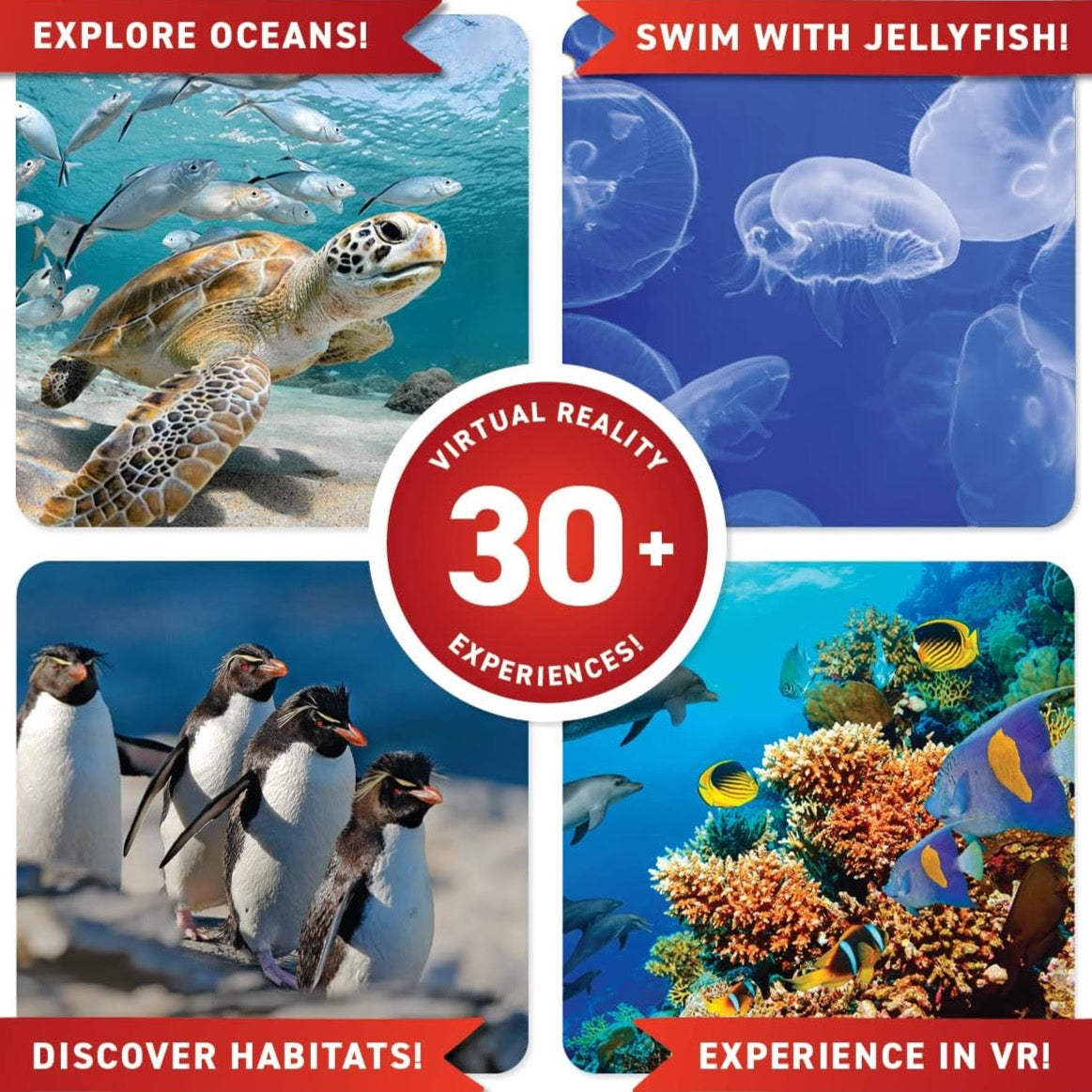 Abacus Brands VR Gift Box - Oceans