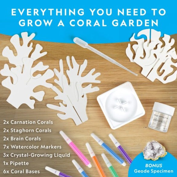 National Geographic Crystal Reef Coral Growing Lab