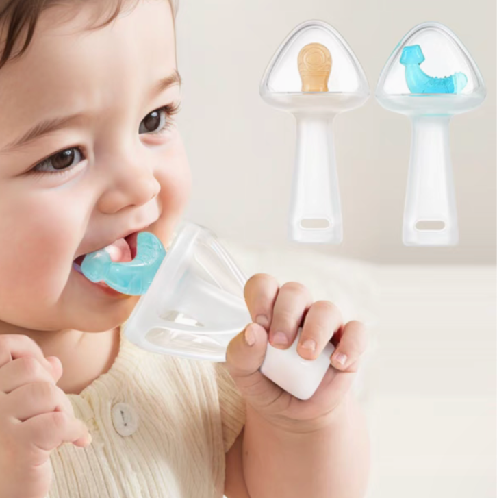 Anti Dust Silicone Teether W/Box