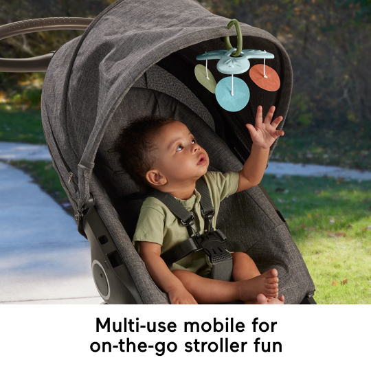 Fisher-Price Simply Senses Newborn Gym Baby Activity