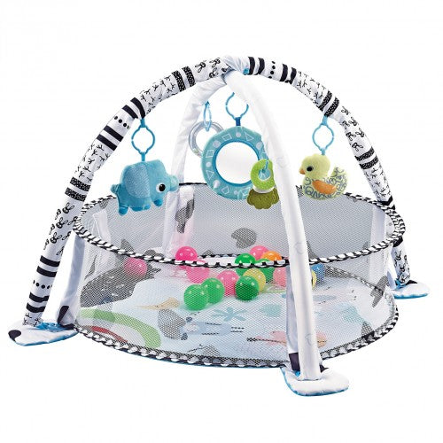 2 In 1 Ocean Activity Playgym