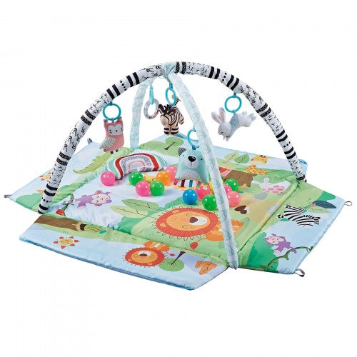 4 In 1 Safari Playgym