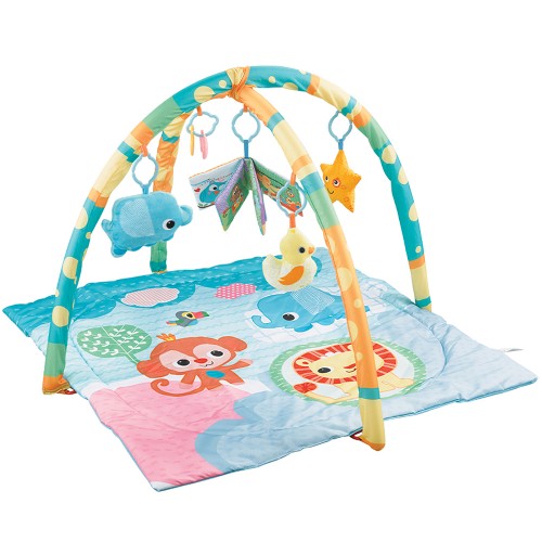 2 In 1 Variable Playgym