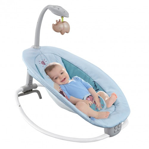 Infant to Toddler Deluxe Rocker