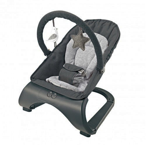 Infant To Toddler Portable Bouncer (Black)