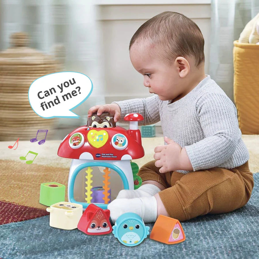 Vtech Pop and Play Mushroom House