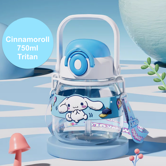 Outdoor Straw Water Bottle 750ml