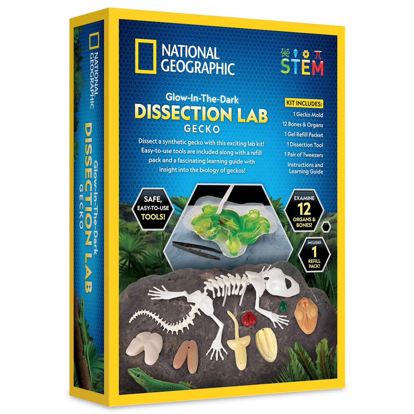 National Geographic Glow-in-the-Dark Gecko Dissection Lab
