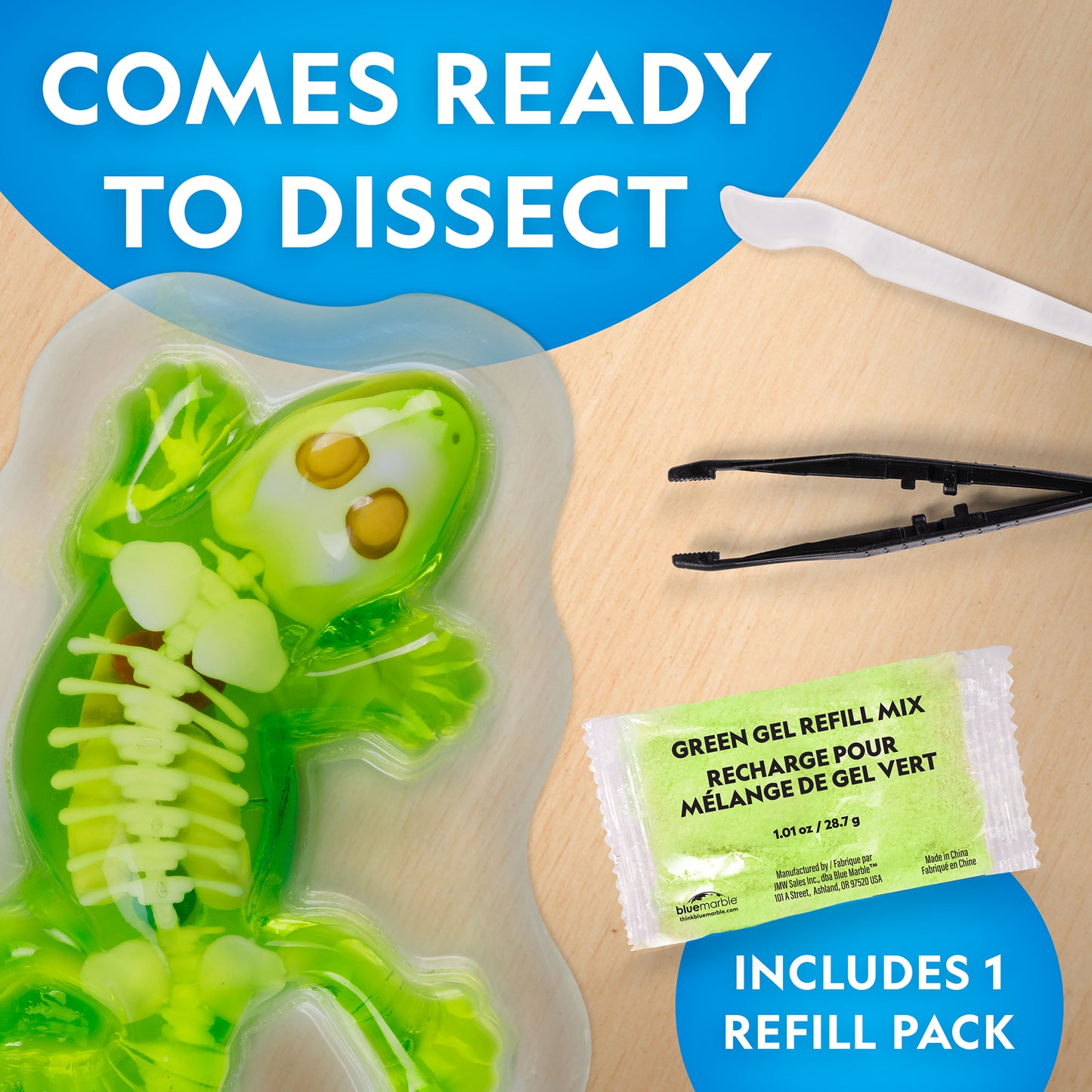 National Geographic Glow-in-the-Dark Gecko Dissection Lab