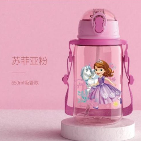 Disney Water Bottle 650ml