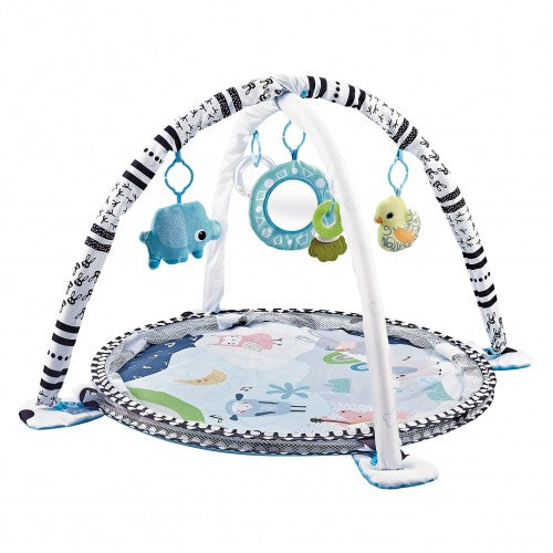 2 In 1 Ocean Activity Playgym