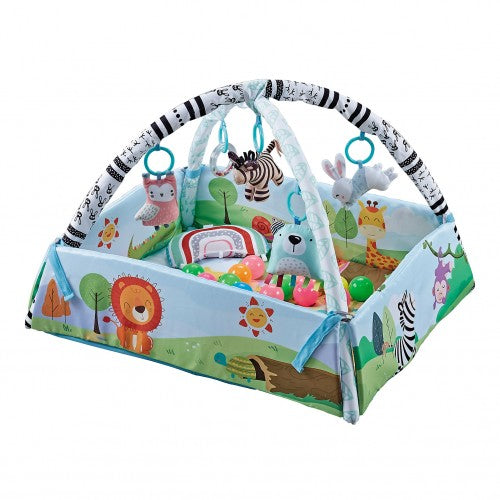 4 In 1 Safari Playgym